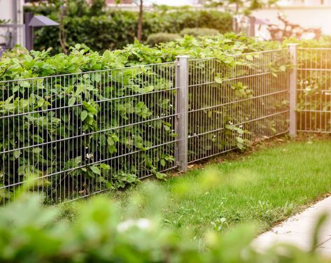 Fence Construction Services